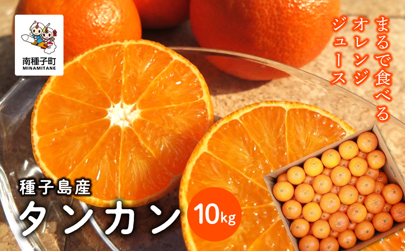 《 先行予約 》 【2026年2月中旬〜3月中旬頃順次発送】種子島産タンカン約10kg （約65玉）【南種子町果樹部会】