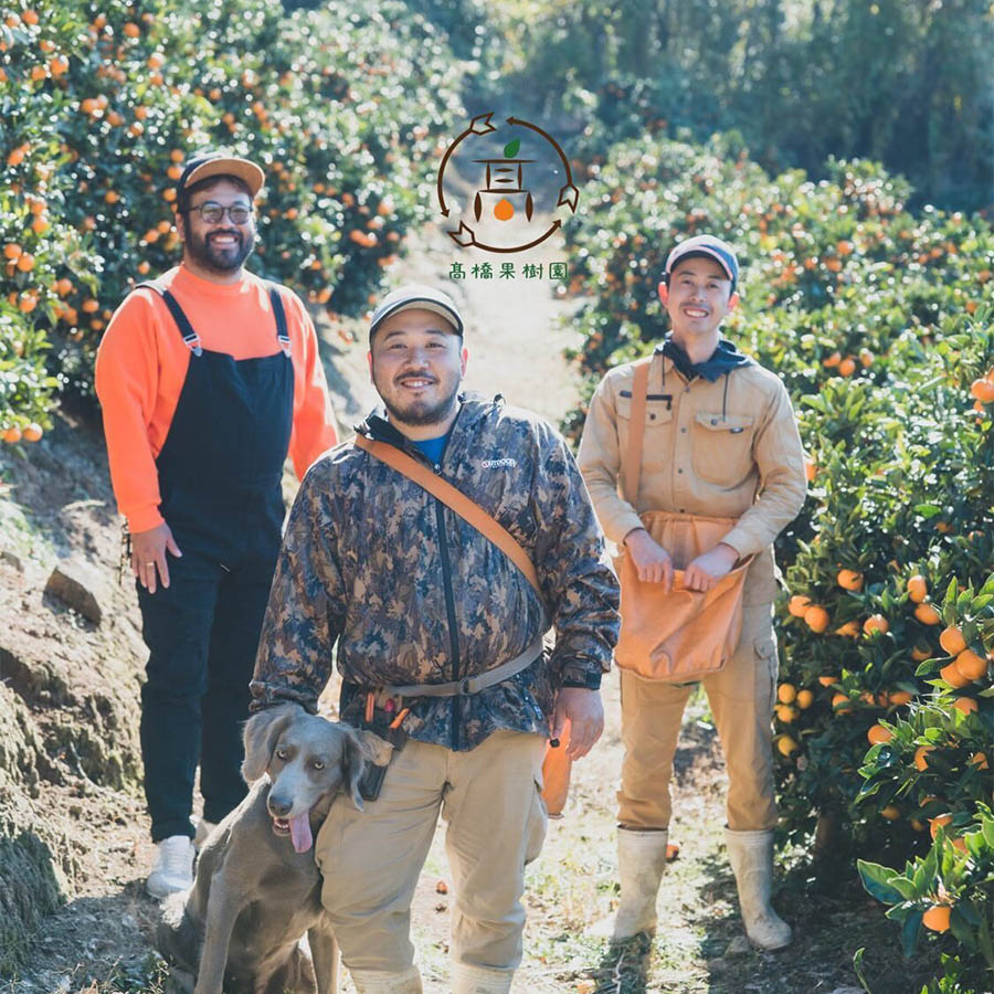 ポンカン 4kg 25～30玉入り