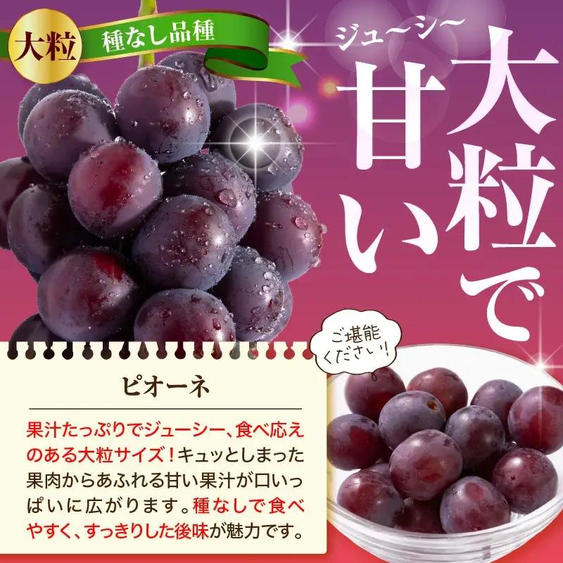 ぶどう 種なし ピオーネ 2kg フルーツ 果物 山形 ブドウ