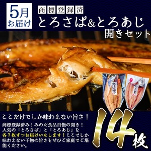 No.701 ＜先行予約受付中！定期便・計3回(3月・5月・7月)＞あじ、とろさば開き、鯛など鮮度抜群の干物セットを3回お届けする定期便！干物 あじ アジ トロサバ 鯛 タイ たい セット 詰め合わせ