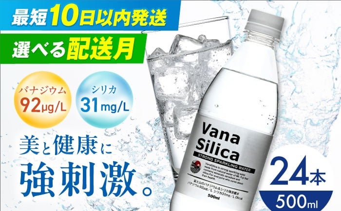
            【10日以内発送】【選べる発送月】VanaSilica（バナシリカ） 富士山のバナジウム＆シリカ 強炭酸水 500ml 24本 炭酸 強炭酸 炭酸水 大容量 ハイボール 割り材 割材 ペットボトル お水 飲料 飲料水 ドリンク 飲み物 備蓄 災害 クリックル株式会社 [AOEH009] 天然水 バナジウム シリカ 強炭酸水 大容量 ペットボトル 割材 水分補給
          