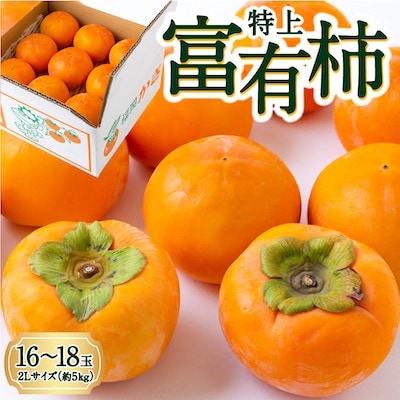 【先行受付】山口農園 富有柿 16から18玉 2Lサイズ (約5kg)