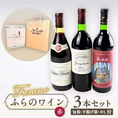 【ふるさと納税】【包装・手提げ袋・のし付】オススメ!ふらのワイン(赤)3本セット【1373962】