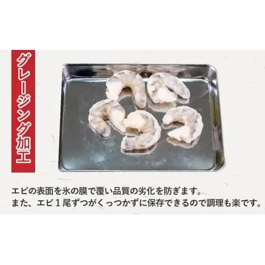 【 えび 】 ブラックタイガー 定期便 約1.2kg × 6回 えび