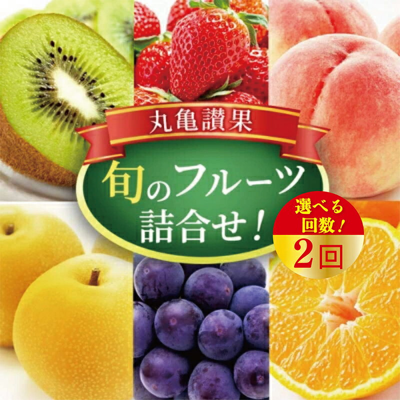 【ふるさと納税】 旬のフルーツ 定期便 2回 詰め合わせ セット 果物 フルーツ 果実 みかん 蜜柑 せとか デコポン 不知火 苺 いちご はっさく びわ 梨 ぶどう シャインマスカット はっさく 柿 キウイ ふるさと納税フルーツ ギフト 贈答 送料無料 ふるさと納税