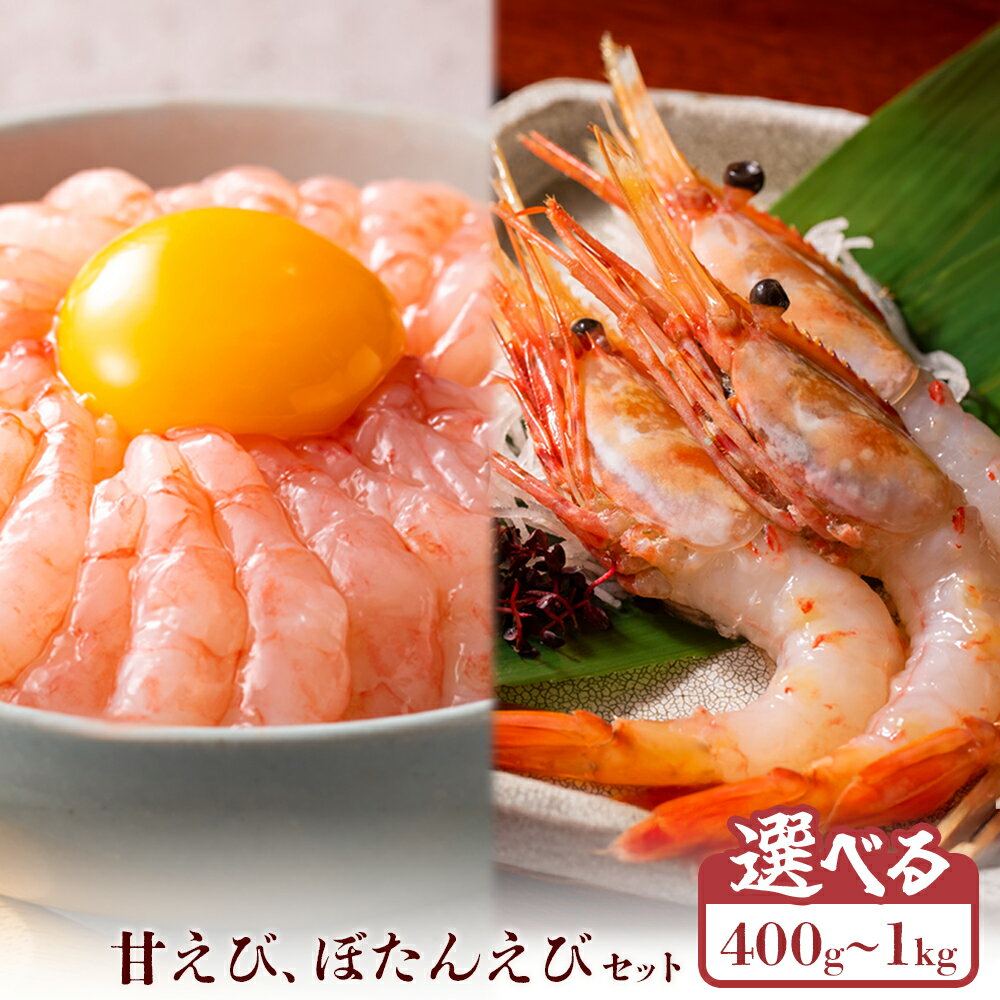 【ふるさと納税】【選べる内容量400g or 1kg】超速リキッド凍結でドリップゼロ！北海道羽幌産甘えび・ぼたんえびセット｜甘えび ぼたんえび 小分け エビ 海老 甘えび丼 甘エビ 甘海老 ぼたんえび ぼたん海老 冷凍 魚介類 刺身 丼 北海道 羽幌町 羽幌 ふるさと納税【0311701】
