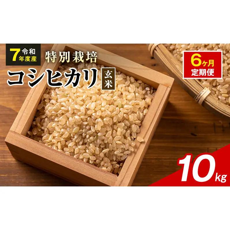 令和7年産 特別栽培米 コシヒカリ 玄米 10kg 静岡県産 色彩選別済 食に意識高い方へオススメ 6ヶ月定期便