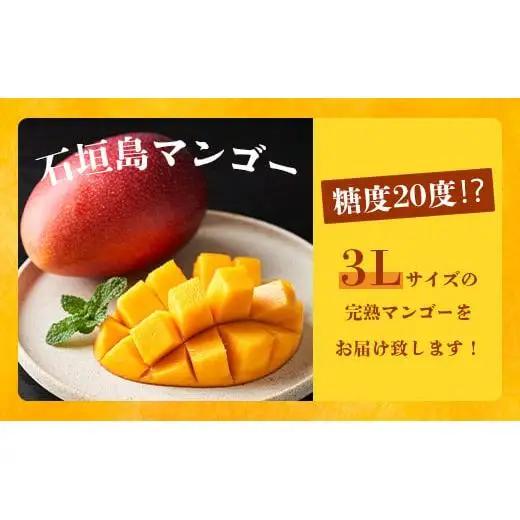 【先行予約】3Lサイズ 石垣島マンゴー 2玉約800g　TF-5-1_R8