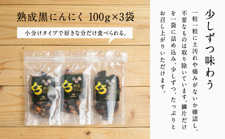 【国産にんにく使用】自家製 熟成黒にんにく（100g×3袋） 健康 美容 食品 ニンニク 黒ニンニク 正食研究所 鹿児島 南さつま市
