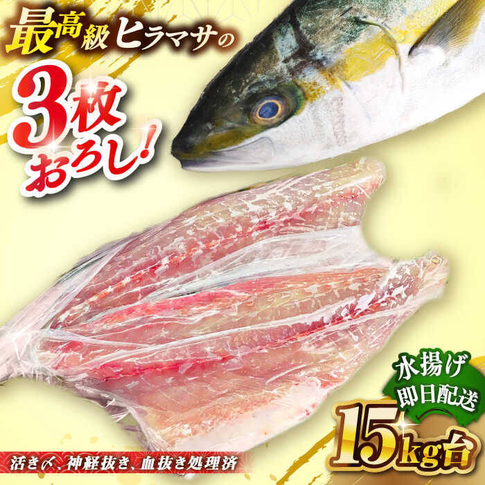 【ふるさと納税】壱岐島産天然ヒラマサ（15キロ台・三枚おろし） 《壱岐市》【壱岐島　玄海屋】[JBS084] ヒラマサ 魚 刺身 煮物 カルパッチョ お寿司 280000 280000円 28万円 のし プレゼント ギフト