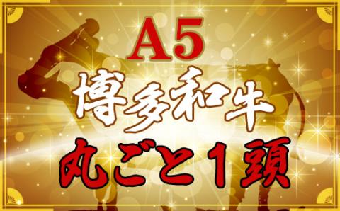 2N2　なんと＜A5等級＞博多和牛丸ごと1頭 !!