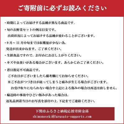 ふるさと納税 下関市 旬の 野菜 詰め合わせ IN001 |  | 03