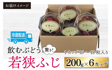 【先行予約】【数量限定】受賞歴多数！飲むぶどう 若狭ふじ 約200g×6カップ ≪2025年8月中旬より順次発送≫