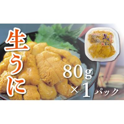 ふるさと納税 洋野町 【令和8年発送】【水揚げしたその日に出荷】生うに 80g×1パック