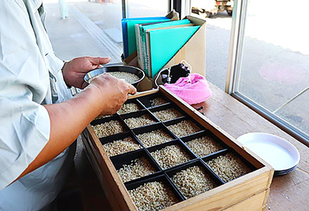 23-K103R5【3ヶ月連続お届け】新潟県中条産コシヒカリ10kg（5kg×2袋）