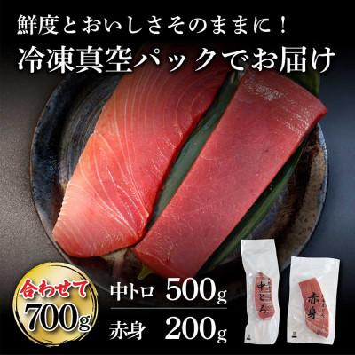 ふるさと納税 土佐市 本鮪　中トロ500g・赤身200g　合せて700g赤身と中トロのセット |  | 03