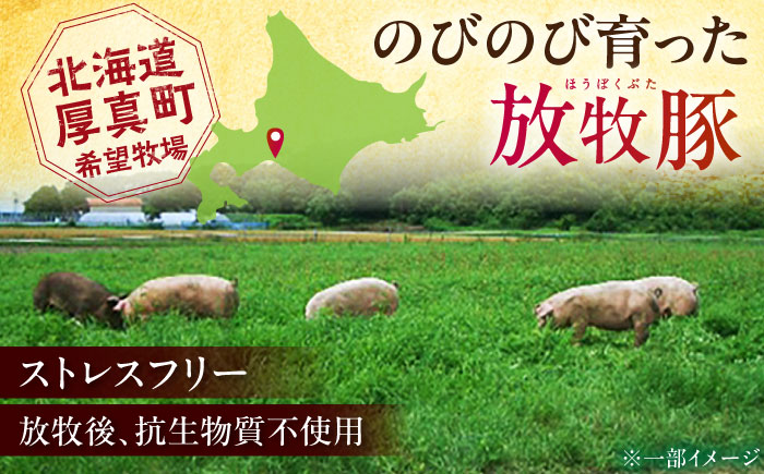 【全6回定期便】【結着剤・発色剤・保存料不使用】 放牧豚 ソーセージ11種 ボリュームセット《厚真町》【ファーマーズファクトリー株式会社】 ソーセージ ウインナー チョリソー 粗挽き 冷凍配送 セット