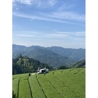 ふるさと納税 八女市 星野茶 500g 八女市星野村産 |  | 01