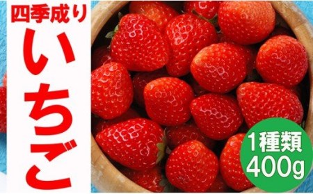四季成りいちご 品種おまかせ 1種類 400g〈 なつあかり 信大BS8-9 夏の輝 夏のしずく すずあかね 〉いちご