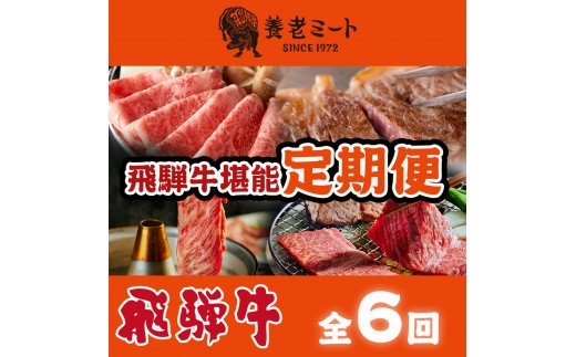 【6か月定期便】月替わりで色々な飛騨牛を楽しめる全6回
