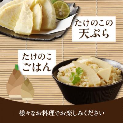 ふるさと納税 八女市 ≪道の駅たちばなオリジナル≫大釜湯がき筍 2kg(2025年4月〜発送開始) |  | 03