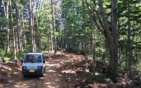 沼田町産 広葉樹ミックス薪 長さ約30cm 20kg キャンプ アウトドア用品 n-0091