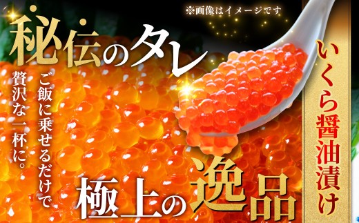 北の味覚海鮮3点セット いくら250g サーモン400g ほたて500g 海鮮丼 セット 鮭 シャケ サケ 魚卵 海鮮 海鮮セット 海鮮醤油漬 刺身 福袋 通常発送