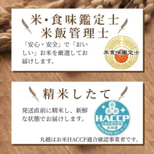 訳あり 京都丹波産 きぬひかり 5kg×2 計10kg ※米食味鑑定士厳選 ※精米したてをお届け【京都伏見のお米問屋が精米】《コロナ支援 緊急支援 米 令和5年産》 ※沖縄本島・離島への配送不可 大人