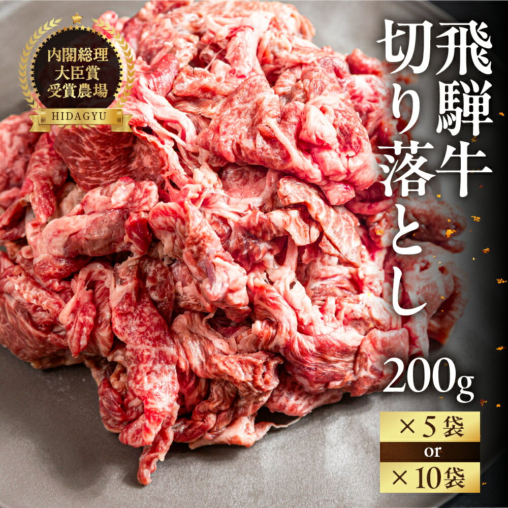 【ふるさと納税】飛騨牛 切り落とし（部位おまかせ）便利な小分けパック（200g×5袋 / 10袋）牛肉 ブランド牛 お肉 肉 牛 おすすめ 飛騨萩原畜産 【真空冷凍】