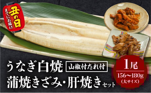 《丑の日までにお届け予定(7月20日～7月31日)》うなぎ白焼(大サイズ)・きざみ・肝焼きセット_M069-020-U2