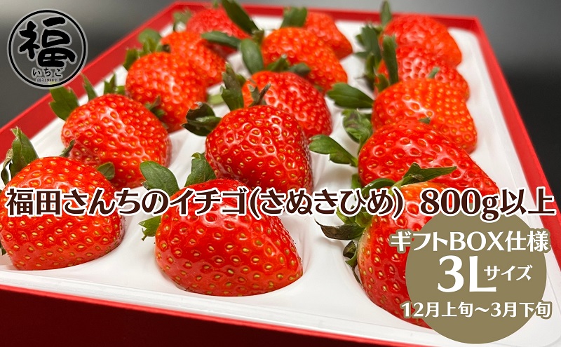 福田さんちのイチゴ(さぬきひめ) 3L サイズ 800g以上 ギフトボックス2箱【配送不可:北海道、沖縄県、離島エリア】苺 農園直送 いちご採れたて直送