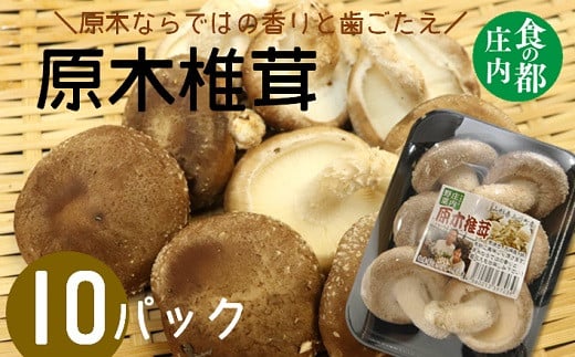 
            食の都庄内　原木しいたけ（まさに木の子）10パック
          