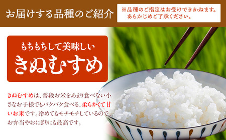 【6ヶ月定期便】ありがとう園の無洗米 15kg