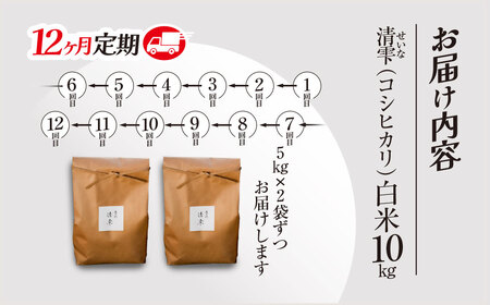＜令和7年9月末より発送予定！＞【12ヶ月定期便】京都夜久野産　清雫（せいな）　コシヒカリ＜白米10kg×12回＞/  令和7年度産 先行 定期 10kg 5kg×2袋 収穫 12回 白米 夜久野 京