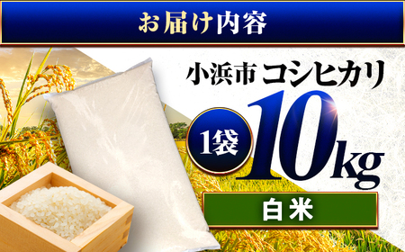お米 コシヒカリ 精米 10kg 小浜市産 こしひかり  白米 ごはん こめ [BFEK001]