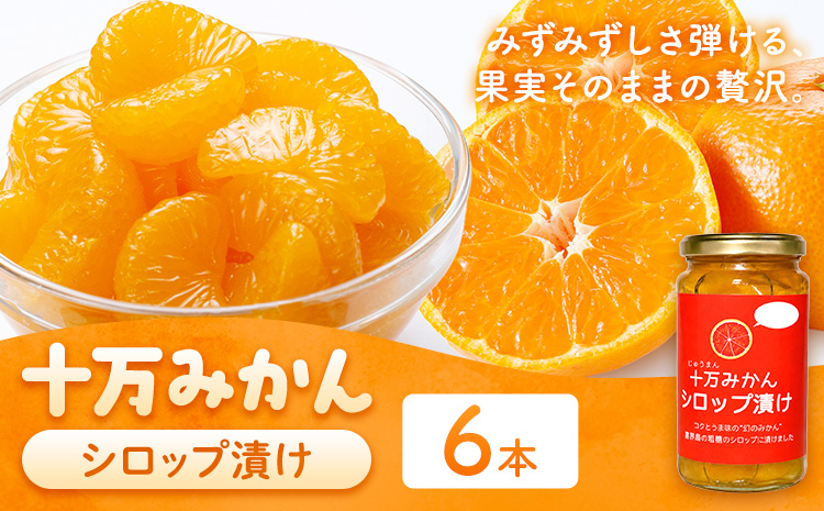 十万みかん シロップ漬け 170g 6本 田野農園《30日以内に出荷予定(土日祝除く)》鹿児島県 さつま町 みかん 蜜柑 柑橘 果物 くだもの フルーツ ジューシー シロップ 送料無料
