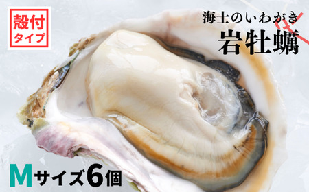 【のし付き 海士のいわがき】殻付き Mサイズ 6個 岩牡蠣 生食可 新鮮クリーミー 冷凍 牡蛎 牡蠣 かき カキ 岩牡蠣 いわがき CAS CAS冷凍 父の日 母の日 バーベキュー ギフト