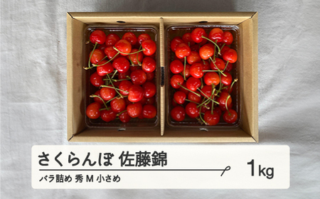 【農業者支援】《先行予約》2025年 山形県産 さくらんぼ 佐藤錦 バラ詰 1kg 秀 M 小さめ サクランボ フルーツ F21A-336