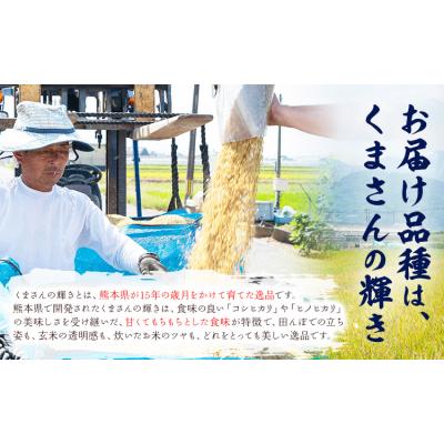 ふるさと納税 氷川町 令和7年産 無洗米 清流きたかの米 15kg《2月出荷予定》 |  | 02