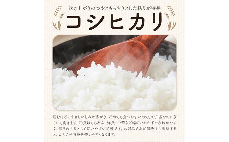 令和7年産 特別栽培米 白米 コシヒカリ 10kg(5kg×2) 米の半左エ門《30日以内に出荷予定(土日祝除く)》千葉県 我孫子市 こしひかり 精米 米 白米 ごはん お米 ライス ブランド米 ご飯
