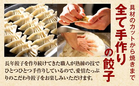 【定期便奇数月】宮崎餃子専門店・黒兵衛・餃子5パック（50個）×隔月6回_M126-T001