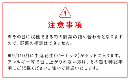 【栽培期間中農薬不使用】農家直送！「９品」季節の新鮮野菜詰め合わせセット  AIBA FARM TML001 / 野菜セット 野菜 千葉県 富里市 直送野菜 お野菜セット 旬野菜 季節野菜 農家直送 