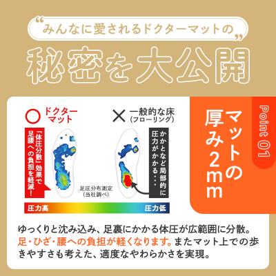 ふるさと納税 加西市 [ ドクターマットプレミアム L・キャメル ] キッチンマット 厚手 [No5698-1988] |  | 03