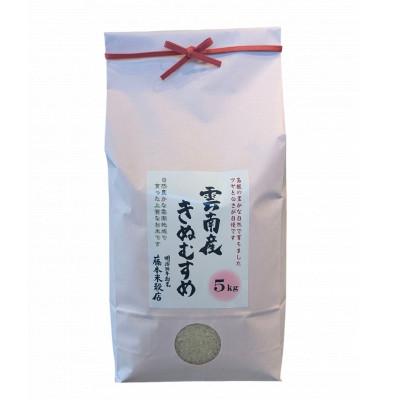 ふるさと納税 雲南市 島根県雲南市産きぬむすめ 5kg(5kg×1) |  | 01