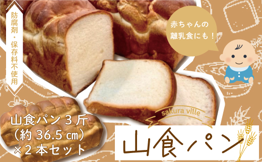 26-354．sakura ville特製 四万十の山食パン2本セット