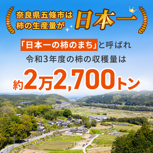 たねなし柿 約6.0kg ※着日時はご指定いただけません 10月中旬から11月中旬順次発送  | フルーツ 果物 くだもの 柿 かき カキ 奈良県 五條市