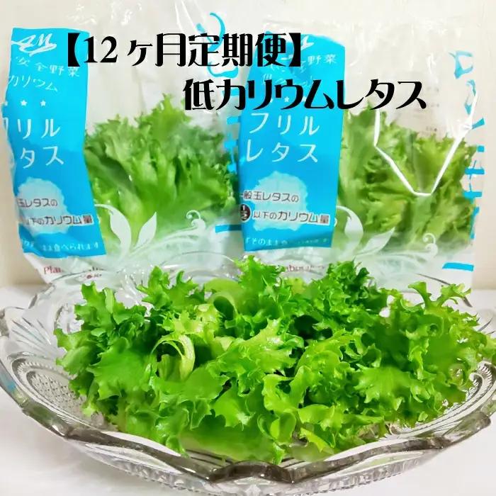 【定期便】低カリウムレタス（毎月12ヶ月お届け）　【07208-0093】