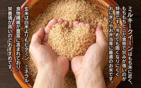 数量限定 【令和7年産先行予約】 山形県庄内産 小池半左衛門のお米 ミルキークイーン 玄米 10kg (5kg×2袋)