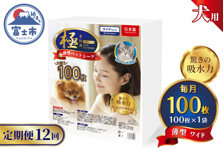 定期便 12回 ペットシーツ 【極】シリーズ 薄型ワイド 100枚 ペット用 犬用 猫用 トイレシーツ 日用品 ペット用品 防災 備蓄 消耗品 ドッグ キャット わんちゃん ねこちゃん 静岡県 富士市 [sf077-139]