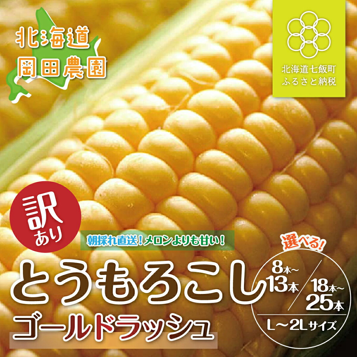 【ふるさと納税】【先行予約 令和8年9月10日頃より順次発送】訳あり 北海道七飯町産 とうもろこし 朝採れゴールドラッシュ 選べる 8～13本 18～25本 L～2L 岡田農園 産地直送